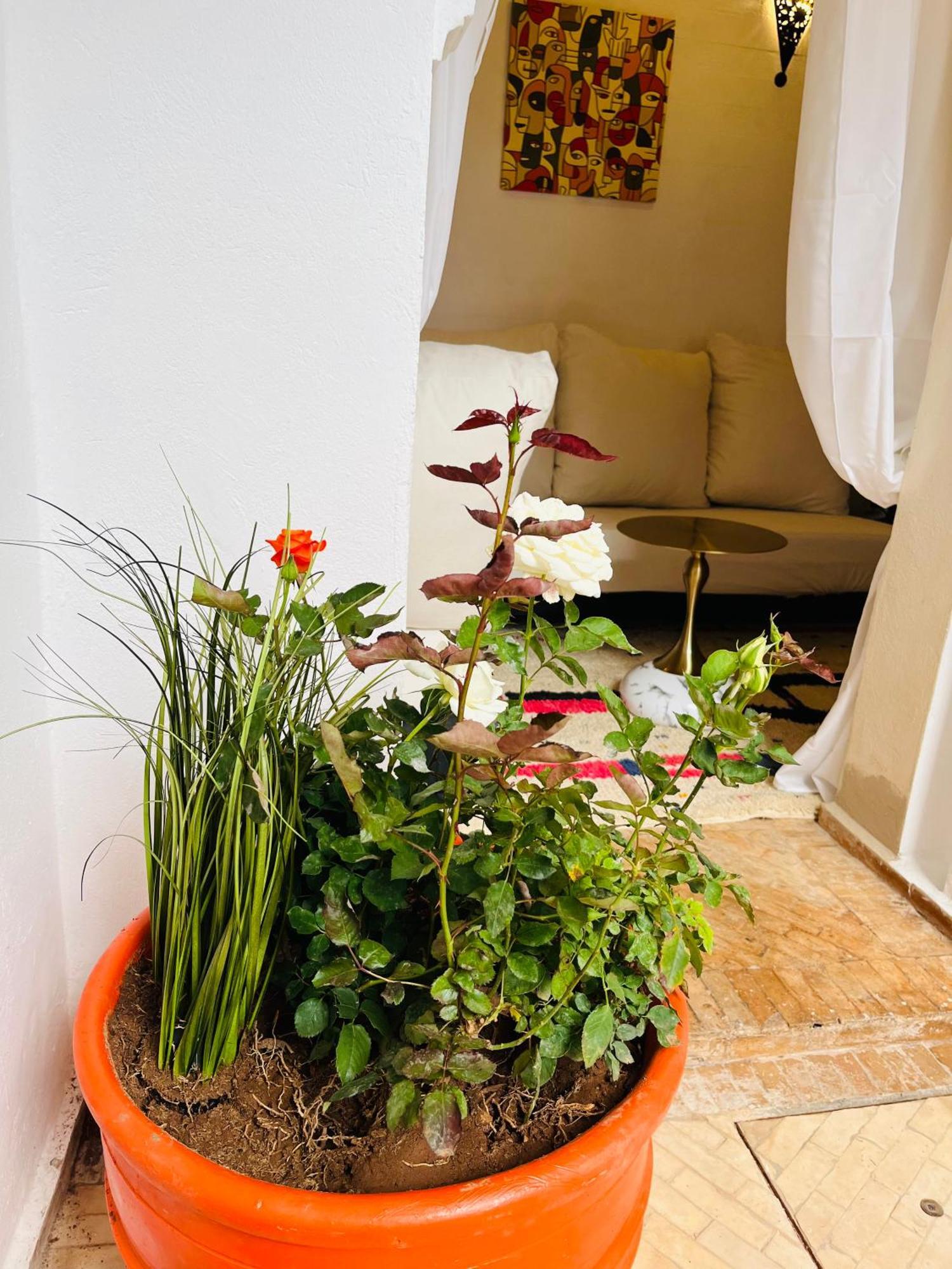 Riad Darna 4 Chambres Avec Piscine Et Petit Dejeuner Marraquexe Exterior foto